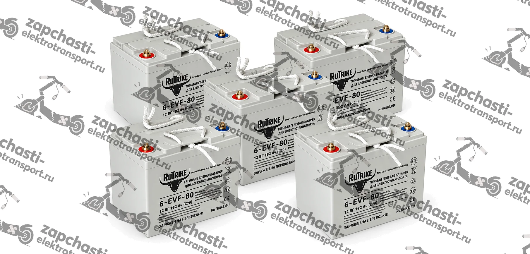 Комплект тяговых аккумуляторов RuTrike 6-EVF-80 (60V80A/H C3) — фото 1